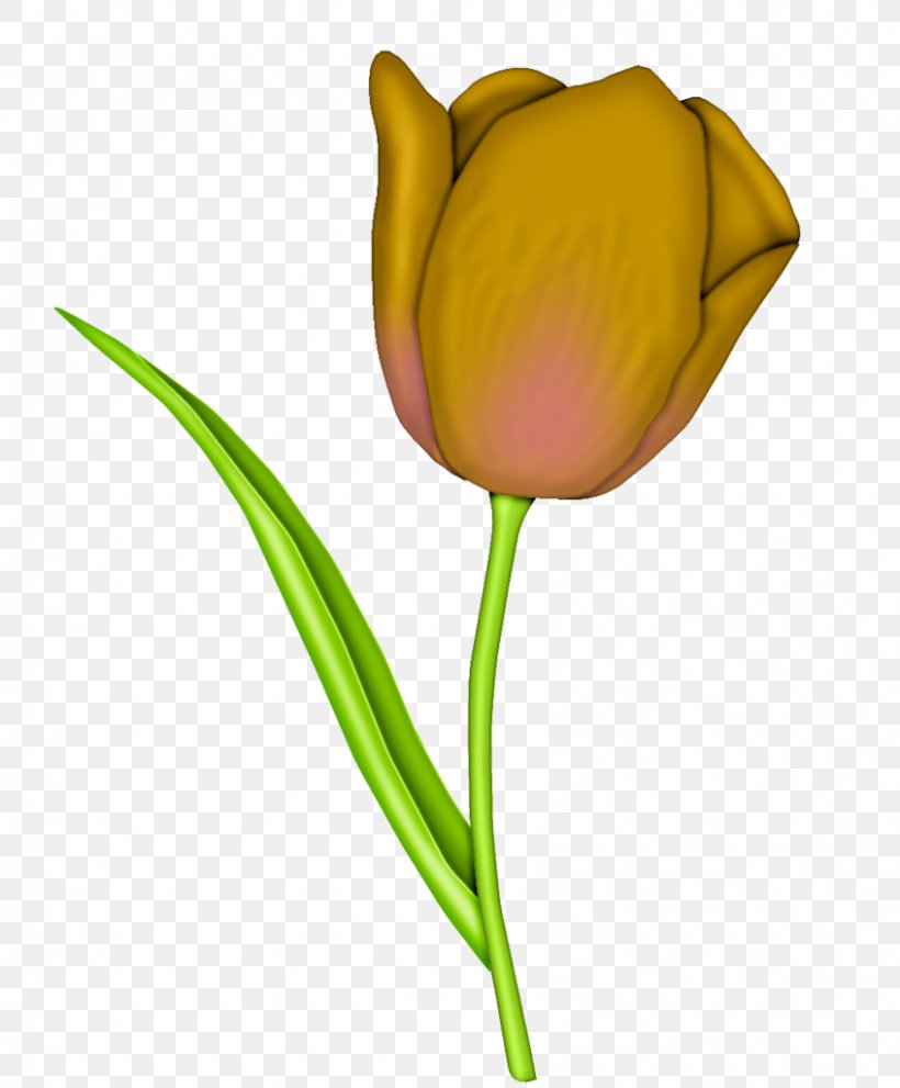 Tulip Flower Floral Design Clip Art Illustration, PNG, 847x1024px, Tulip, Botany, Bud, Cut Flowers, Floral Design Download Free