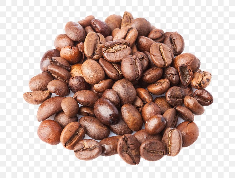 Coffee Bean Cappuccino Java Euclidean Vector, PNG, 732x620px, Coffee, Barista, Bean, Caffeine, Cappuccino Download Free