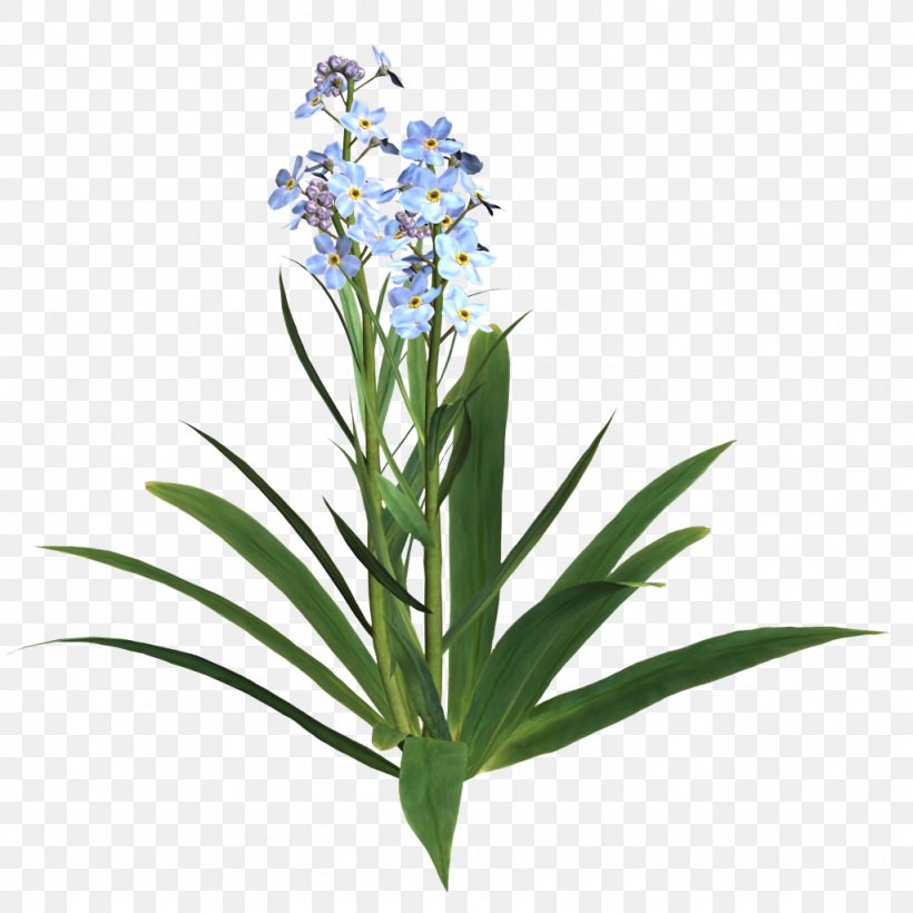 Cut Flowers Internet .net Lilium, PNG, 1024x1024px, Flower, Author, Blue, Cut Flowers, Flower Bouquet Download Free