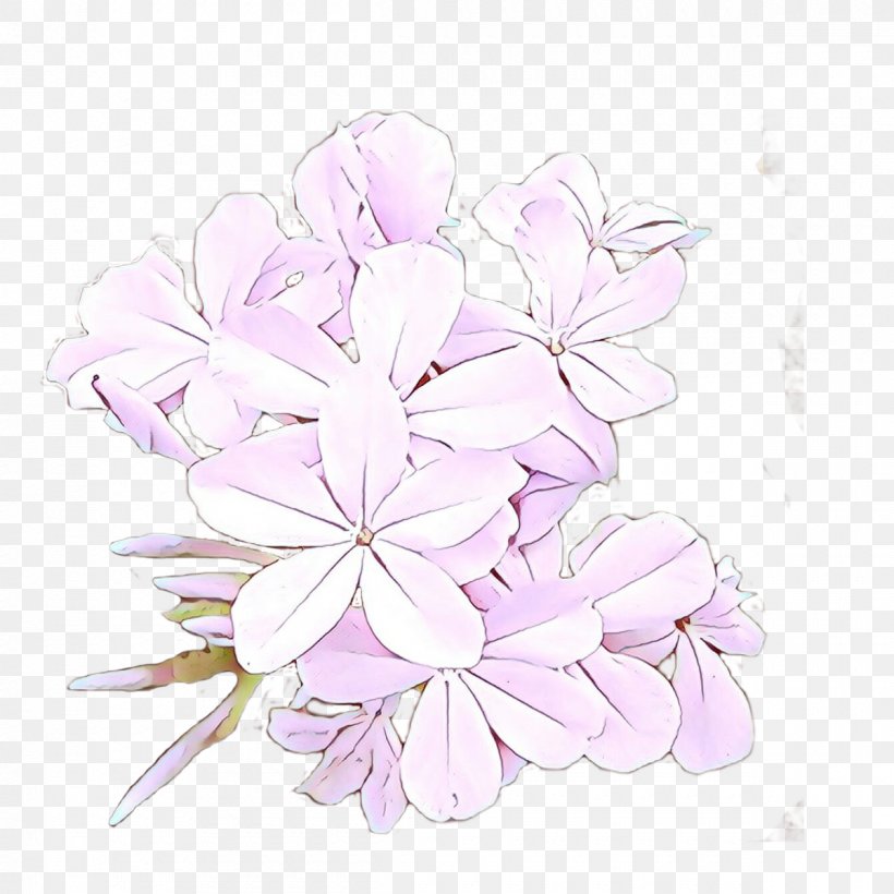 Lilac Petal Flower Pink Plant, PNG, 1200x1200px, Cartoon, Cut Flowers, Flower, Flowering Plant, Geranium Download Free