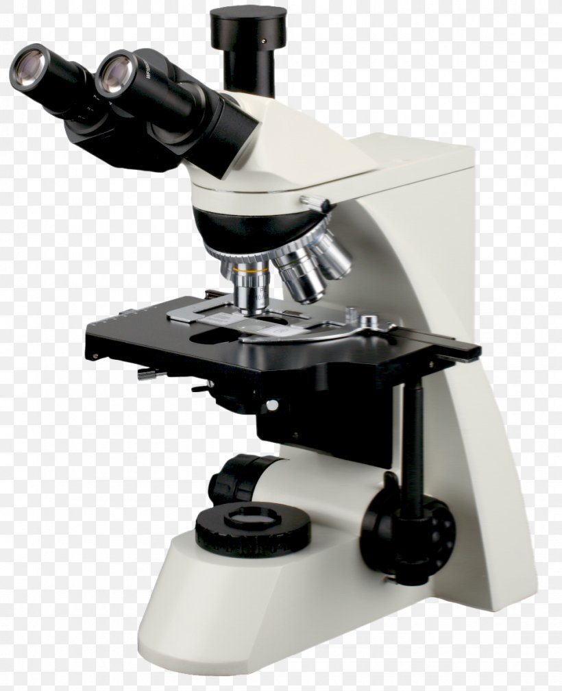Optical Microscope Eyepiece Stereo Microscope Leitz, PNG, 976x1200px, Microscope, Binoculars, Bresser, Contrast, Eyepiece Download Free