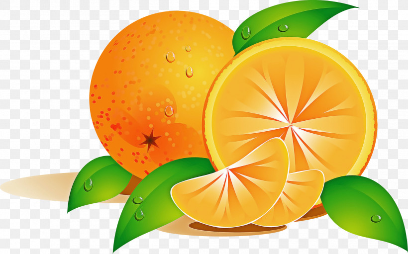 Orange, PNG, 2415x1505px, Mandarin Orange, Bitter Orange, Citrus, Fruit, Grapefruit Download Free