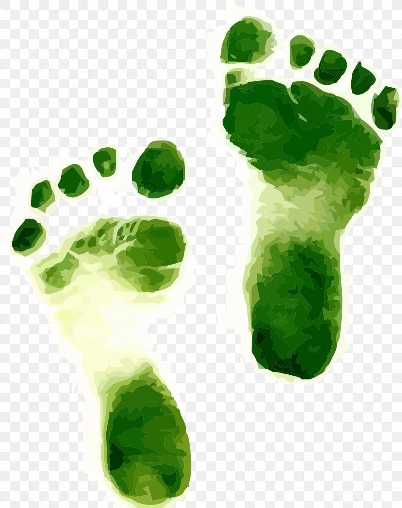 Carbon Footprint Environmentally Friendly Ecological Footprint Sustainability Sustainable Living, PNG, 1267x1600px, Carbon Footprint, Carbon Dioxide, Ecological Footprint, Energy Conservation, Environment Download Free