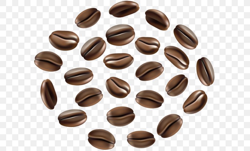 Coffee Bean Cafe Single-origin Coffee, PNG, 600x495px, Coffee, Arabica Coffee, Bean, Cafe, Chocolate Download Free