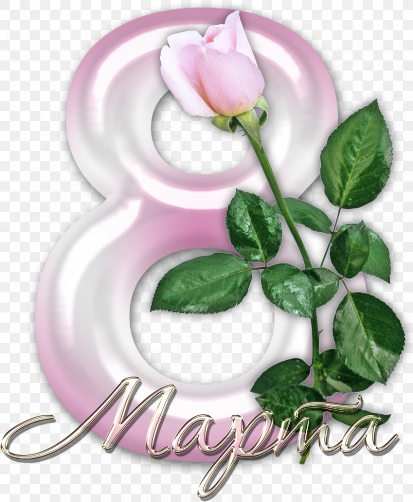 International Women's Day March 8 Holiday Birthday Ansichtkaart, PNG, 843x1024px, International Women S Day, Ansichtkaart, Birthday, Cut Flowers, Daytime Download Free
