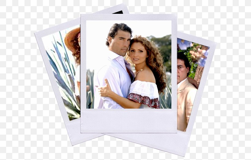 Telenovela Ay Gaviota Actor Fernsehserie Marriage, PNG, 626x523px, Telenovela, Actor, Angelica Rivera, Fernsehserie, In The Name Of Love Download Free