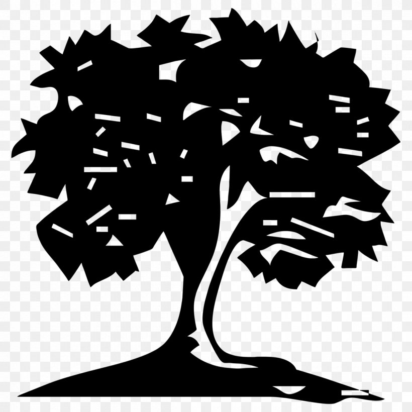 Tree Planting Trunk Evergreen Hedge, PNG, 1200x1200px, Tree, Art, Black And White, Branch, Evergreen Download Free