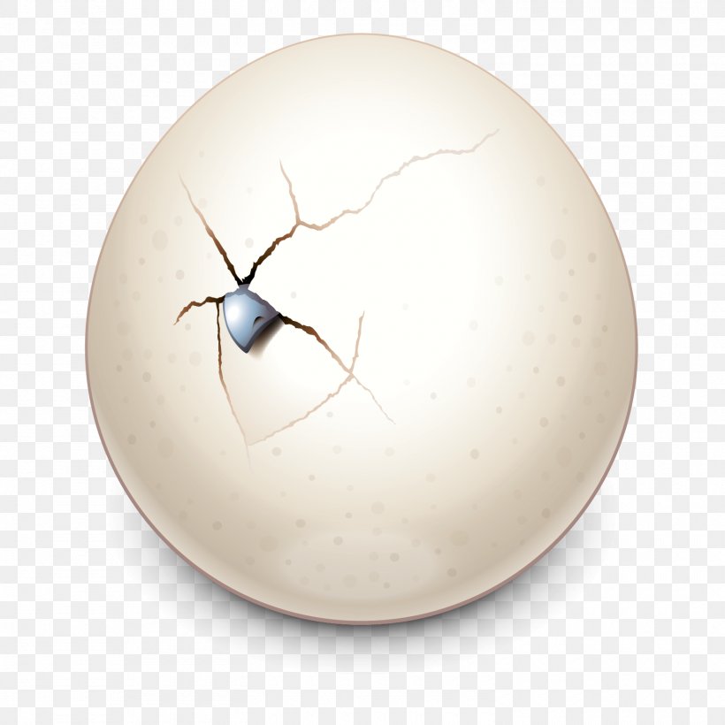 Insect Product Design Sphere, PNG, 1500x1500px, Insect, Egg, Invertebrate, Membrane Winged Insect, Sphere Download Free