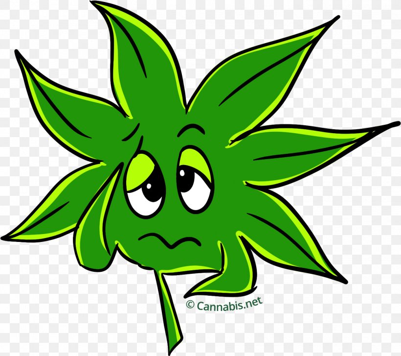 Kush Cannabis Sativa Leaf Clip Art, PNG, 1424x1264px, Kush, Agent Orange, Artwork, Cannabis, Cannabis Sativa Download Free