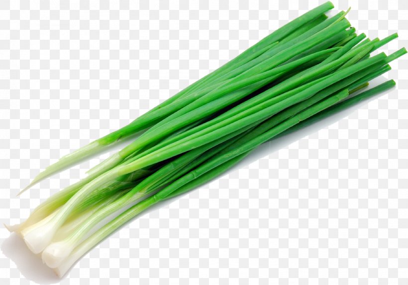 Onion Leek Salad Food Energy Herb, PNG, 1502x1053px, Onion, Allium, Food, Food Energy, Grass Download Free
