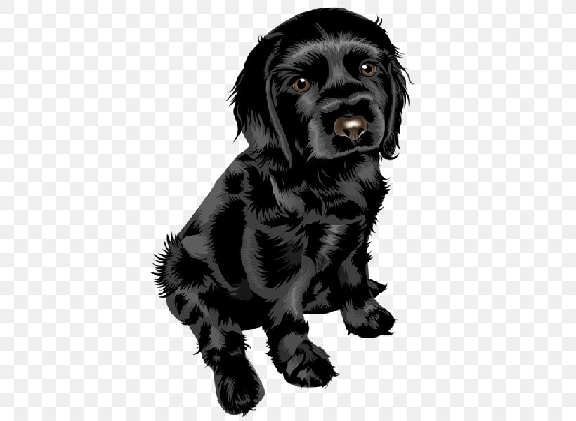 Puppy Yorkshire Terrier Bulldog Miniature Schnauzer Pug, PNG, 600x600px, Puppy, Animal, Boykin Spaniel, Bulldog, Carnivoran Download Free