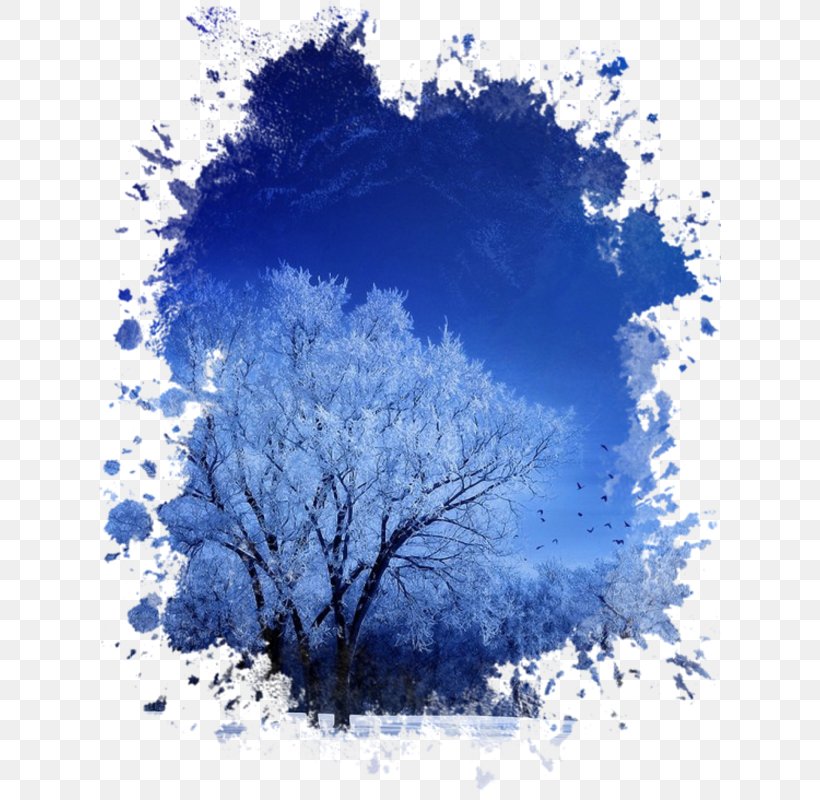 Cartoon Nature Background, PNG, 623x800px, Music, Atmosphere, Blue, Branch, Cloud Download Free