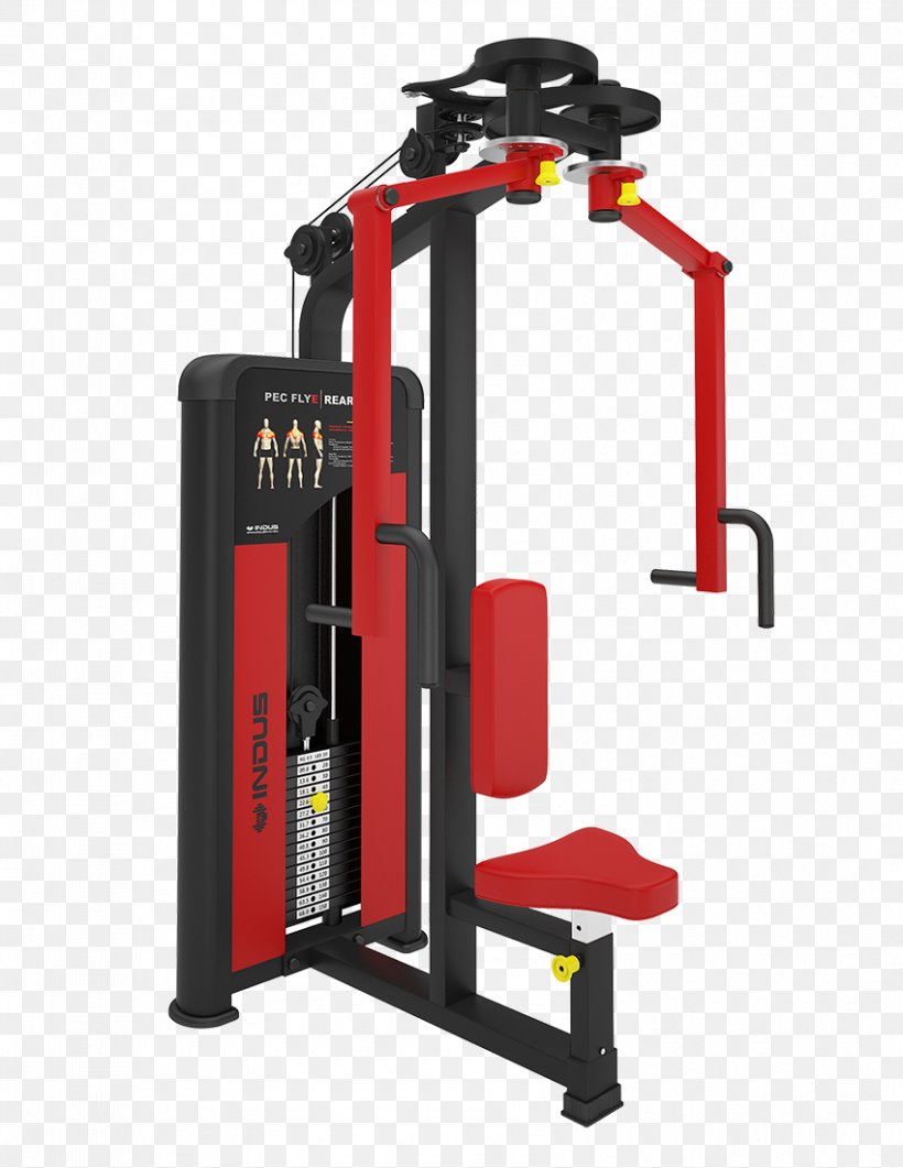 Fitness Centre Machine Fly Indus Gym Equipment Weight Training, PNG, 850x1100px, Fitness Centre, Deltoid Muscle, Dip, Exercise, Exercise Equipment Download Free