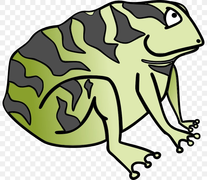 Frog Amphibian Toad Clip Art, PNG, 800x714px, Frog, Amphibian, Artwork, Cane Toad, Cartoon Download Free