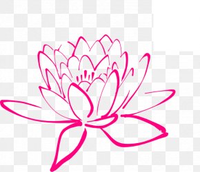 Nelumbo Nucifera Flower Drawing Egyptian Lotus Clip Art, Png 