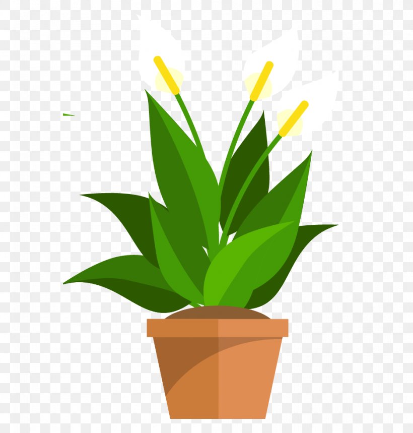 Plants Essay Tree Planting Flower Image, PNG, 937x982px, Plants, Agave, Essay, Flower, Flower Garden Download Free