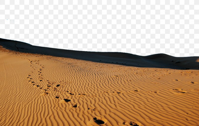 Sahara Erg Desert Singing Sand Dune, PNG, 1024x651px, Sahara, Aeolian Landform, Animal Track, Desert, Dune Download Free