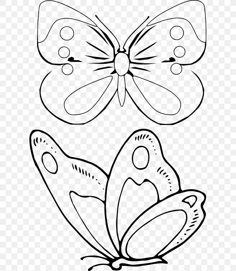 Coloring Book Drawing Document Information, PNG, 615x941px, Coloring Book, Area, Black, Black And White, Borboleta Download Free