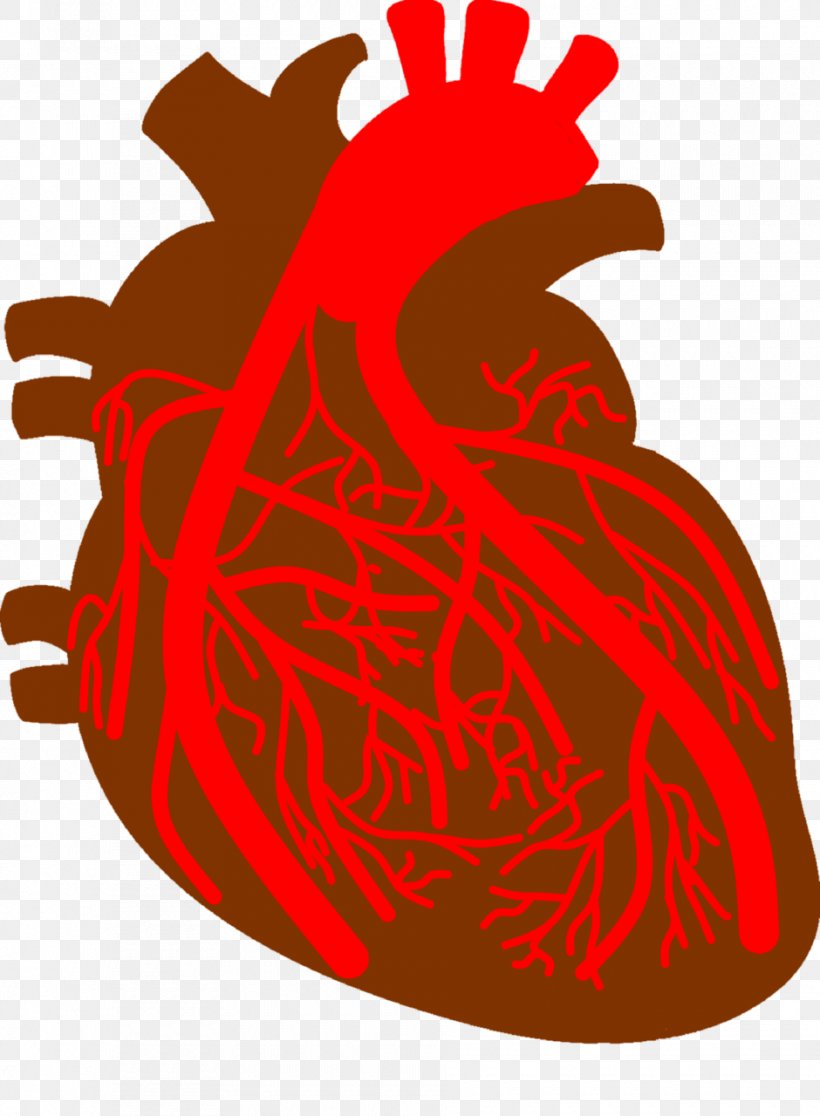 Coronary Artery Disease Coronary Arteries Heart, PNG, 940x1280px, Artery, Blood, Blood Vessel, Cardiovascular Disease, Cause Download Free