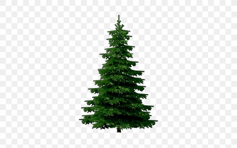 Christmas Tree Fir Gift, PNG, 1600x1000px, Christmas Tree, Blue Spruce, Christmas, Christmas Decoration, Christmas Ornament Download Free