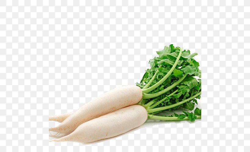 Daikon Radishes Root Vegetables, PNG, 500x500px, Daikon, Carrot, Cruciferous Vegetables, Eating, Food Download Free