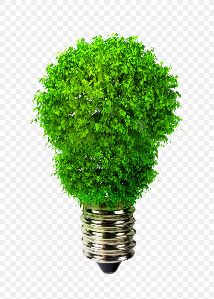 Incandescent Light Bulb Green Environmentally Friendly Renewable Energy, PNG, 5434x7600px, Light, Efficient Energy Use, Electric Light, Electricity, Energy Download Free