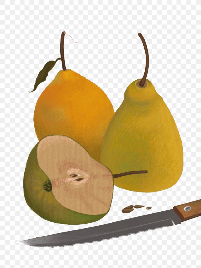 Pyrus Nivalis Evil Pears Fruit, PNG, 1200x1600px, Pyrus Nivalis, Apricot, Auglis, Evil Pears, Food Download Free