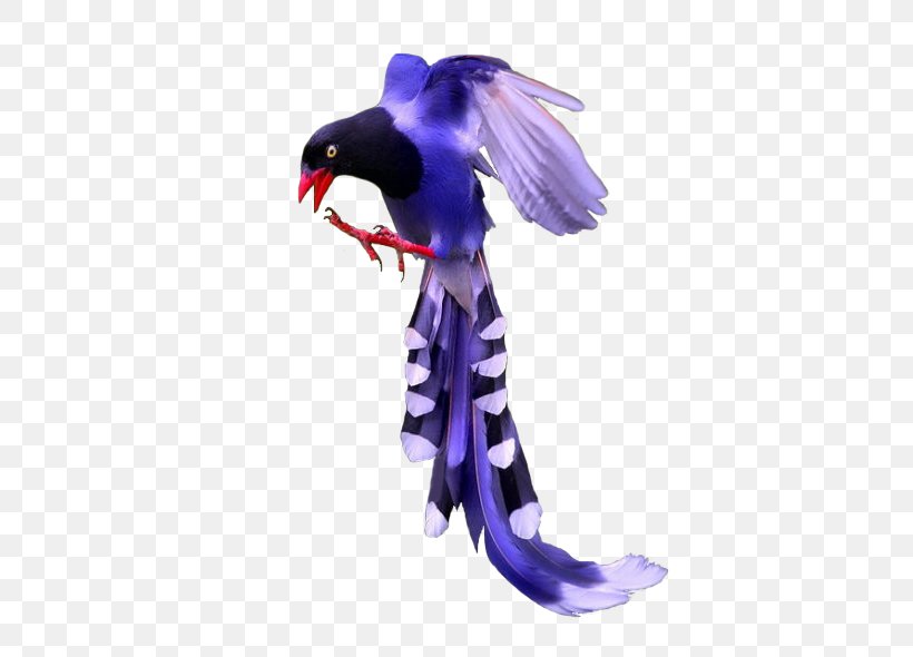 Bird Purple Image Color, PNG, 600x590px, Bird, Action Figure, Animal, Animal Figure, Beak Download Free