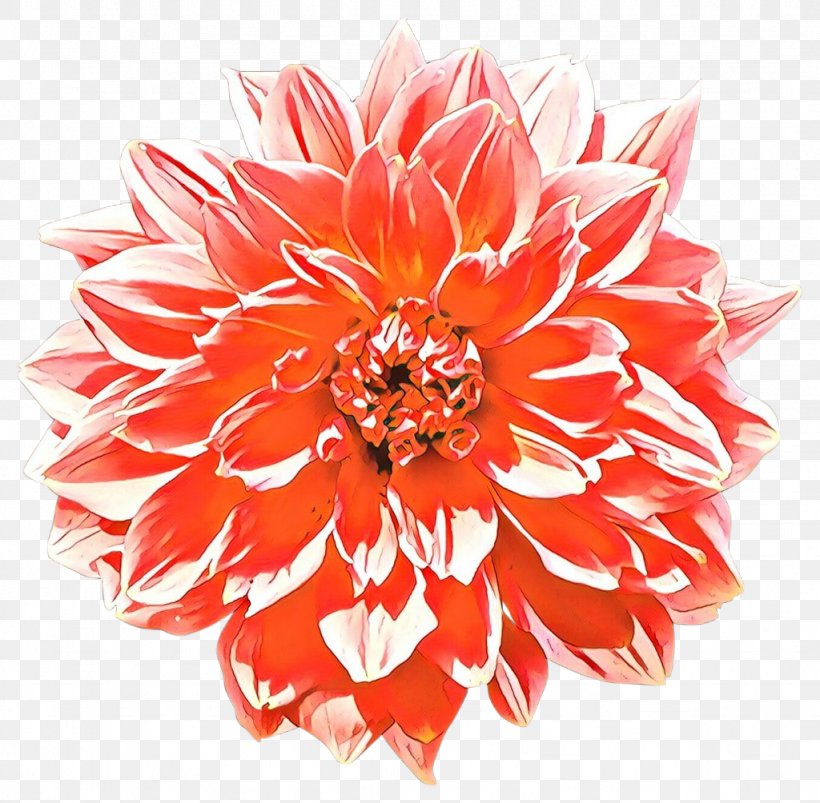 Flowers Background, PNG, 1024x1004px, Cartoon, Artificial Flower, Chrysanthemum, Chrysanths, Cut Flowers Download Free