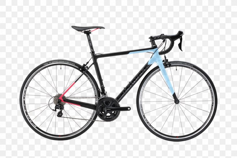 Giant Bicycles United Kingdom Racing Bicycle Mountain Bike, PNG, 1200x800px, Giant Bicycles, Bicycle, Bicycle Accessory, Bicycle Fork, Bicycle Frame Download Free