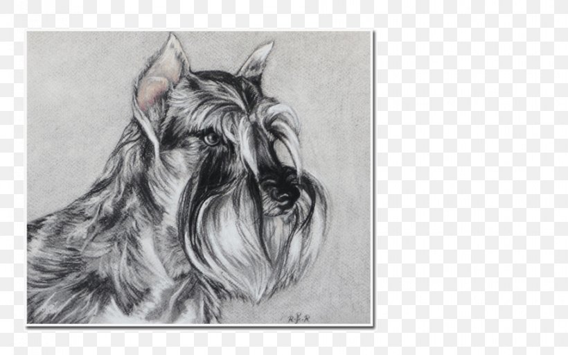 Miniature Schnauzer Scottish Terrier Cesky Terrier Dog Breed, PNG, 912x570px, Miniature Schnauzer, Artwork, Black And White, Breed, Carnivoran Download Free