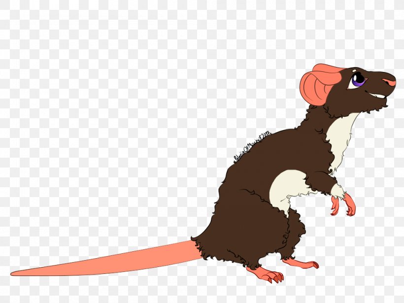 Rat Rodent Mouse Muroidea Mammal, PNG, 1000x750px, Rat, Animal, Carnivora, Carnivoran, Cartoon Download Free