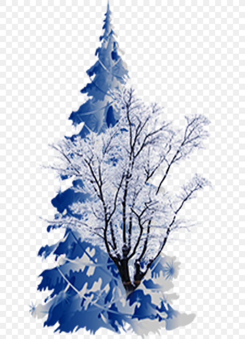 Spruce Christmas Tree, PNG, 636x1134px, Spruce, Black And White, Blue, Branch, Cedar Download Free