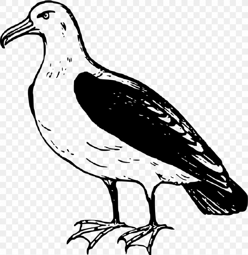Bird Albatross Clip Art, PNG, 975x1000px, Bird, Albatross, Artwork, Beak, Black And White Download Free