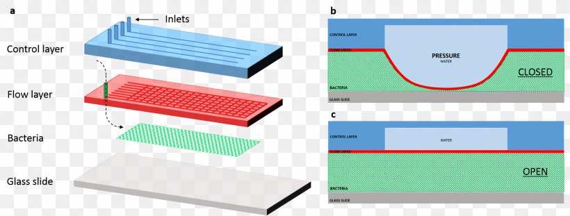 Microfluidics Valve Lab-on-a-chip Pump Paper, PNG, 1952x742px, Microfluidics, Area, Bacteria, Bad Copgood Cop, Brand Download Free