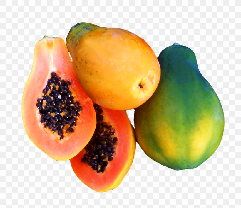 Papaya Fruit Seed Tree, PNG, 1275x1105px, Papaya, Accessory Fruit, Avocado, Barbados Cherry, Chico Granjeiro Download Free