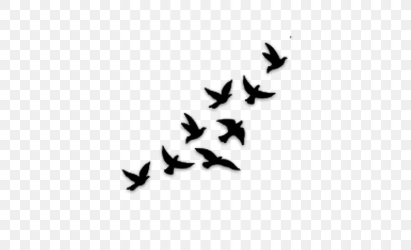 Bird Flight Drawing Silhouette, PNG, 500x500px, Bird, Animal, Beak, Black And White, Drawing Download Free