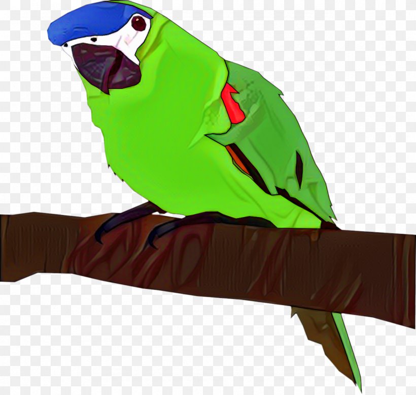 Budgerigar Parrot Bird Parakeet Macaw, PNG, 1279x1212px, Budgerigar, Animal, Beak, Bird, Budgie Download Free