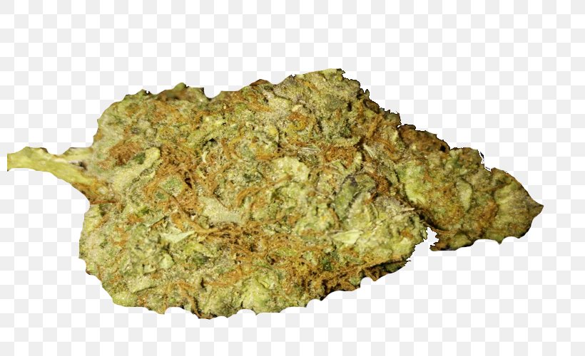 Cannabis Blue Dream Bud Tetrahydrocannabinol, PNG, 800x500px, Cannabis, Blue Dream, Bud, Cannabis Sativa, Durban Poison Download Free