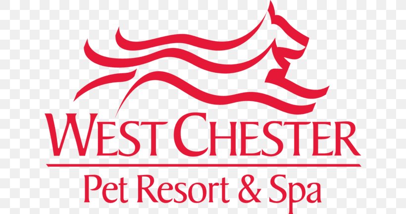 Dog Grooming West Chester Pet Resort And Spa Beauty Parlour Hotel, PNG, 640x432px, Dog, Area, Beauty Parlour, Brand, Destination Spa Download Free