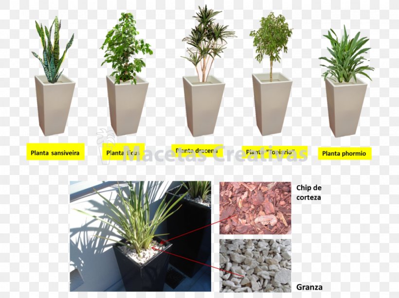 Flowerpot Houseplant Ornamental Plant Decorative Arts, PNG, 1024x766px, Flowerpot, Agave, Arecaceae, Bonsai, Common Ivy Download Free