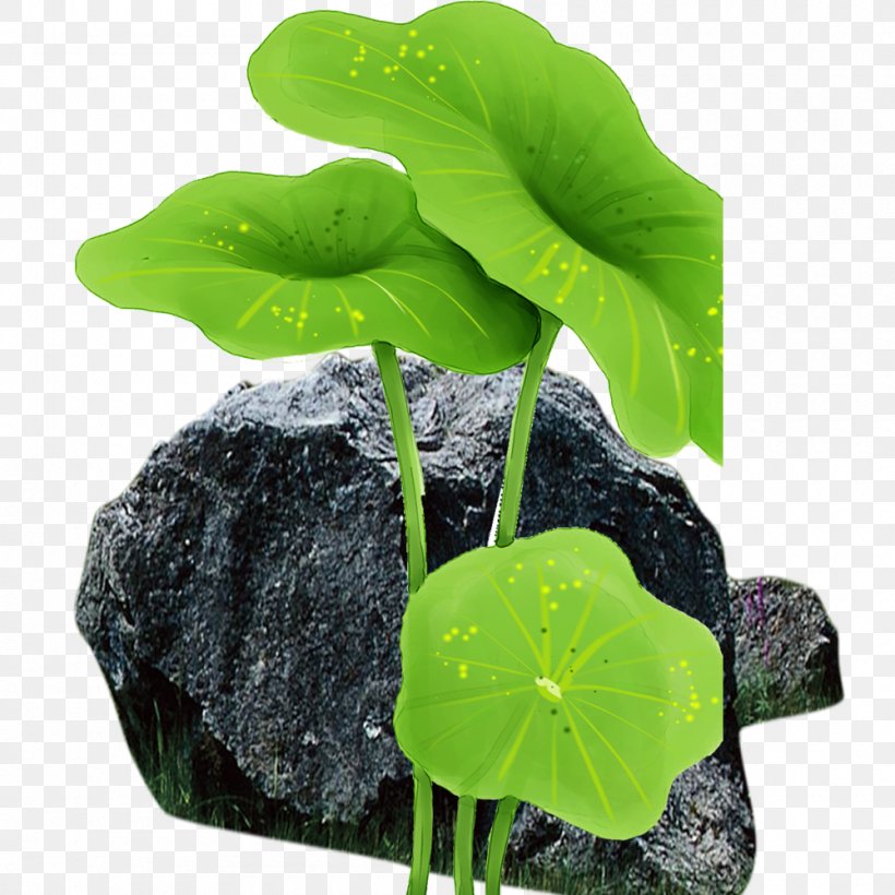 Leaf Flowerpot Annual Plant, PNG, 1000x1000px, Leaf, Annual Plant, Flowerpot, Plant Download Free