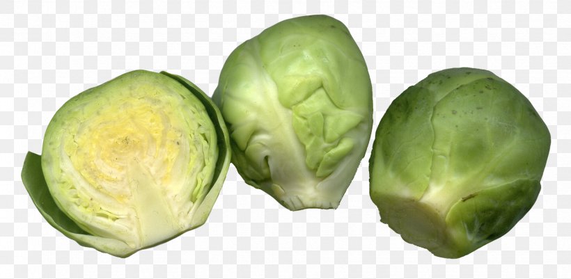 Brussels Sprouts Cruciferous Vegetables Cabbage, PNG, 1739x852px, Brussels Sprout, Bok Choy, Broccoli, Brussels, Brussels Sprouts Download Free