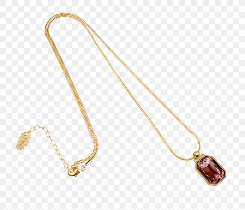 Earring Jewellery Necklace Clothing Accessories Charms & Pendants, PNG, 800x704px, Earring, Amber, Amulet, Body Jewellery, Body Jewelry Download Free
