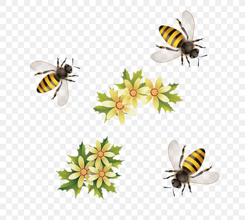 Honey Bee, PNG, 700x735px, Honey Bee, Animation, Apidae, Arthropod, Bee Download Free