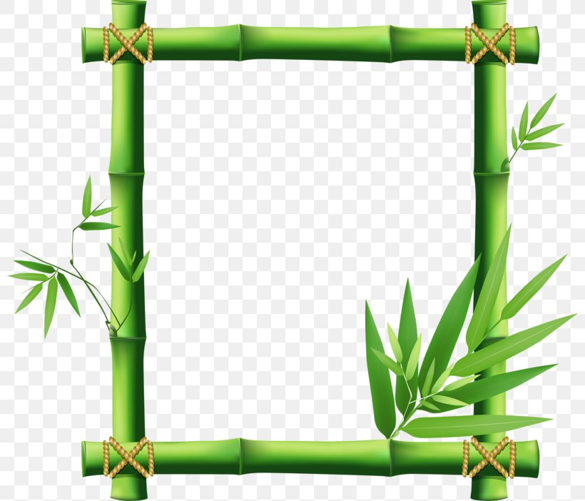 Picture Frame Bamboo Clip Art, PNG, 800x702px, Picture Frame, Bamboo, Grass, Grass Family, Jar Download Free