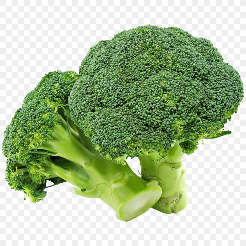 Broccoli Organic Food Cauliflower Vegetable, PNG, 1600x1600px, Broccoli, Brassica Oleracea, Canning, Cauliflower, Cooking Download Free