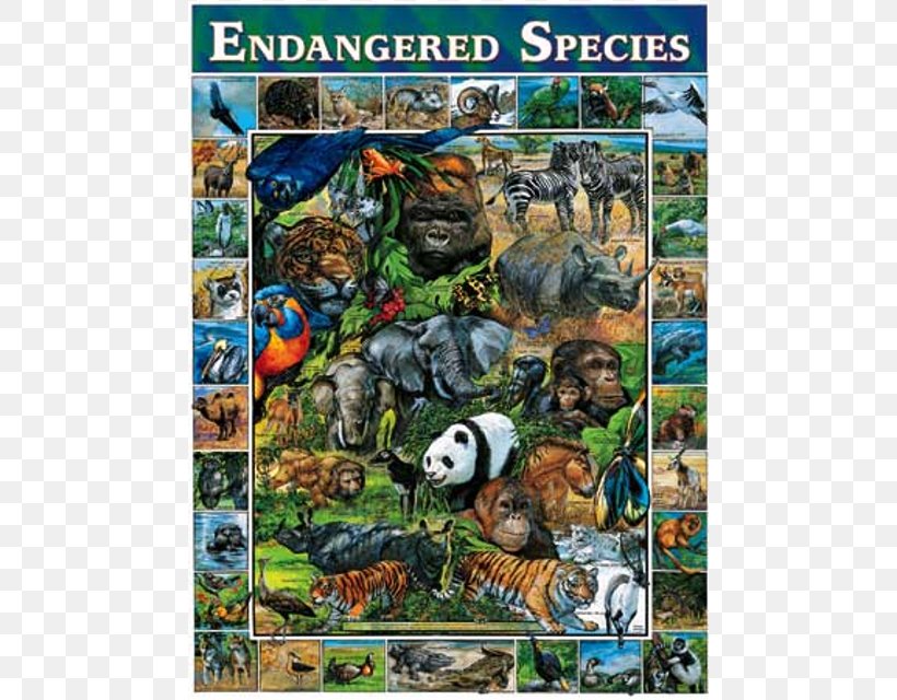 Endangered Species Act Of 1973 Jigsaw Puzzles Endangered Or Extinct Animal, PNG, 640x640px, Endangered Species, Animal, Asian Elephant, Bran Flakes, Dodo Download Free