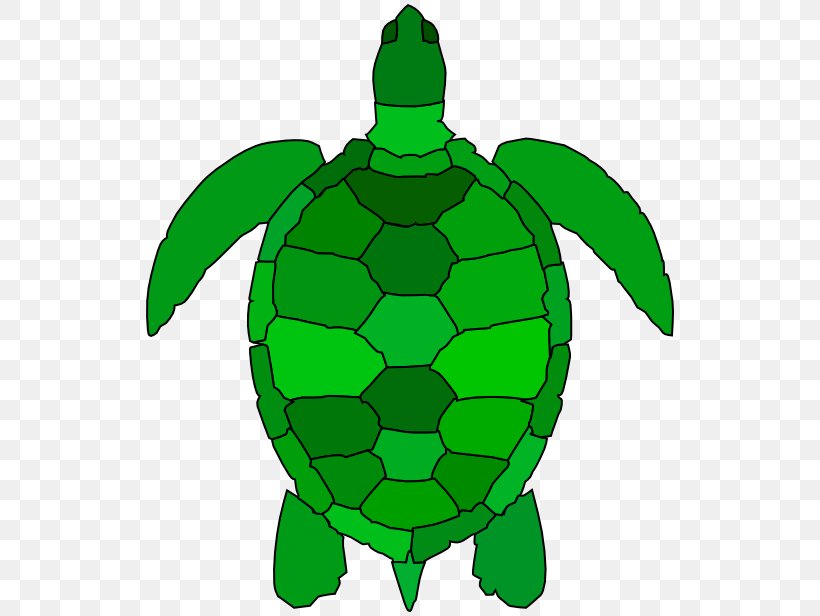 Green Sea Turtle Clip Art, PNG, 536x616px, Turtle, Animal, Artwork, Drawing, Fictional Character Download Free