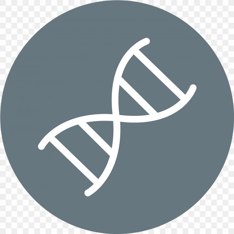 DNA Nucleic Acid Double Helix, PNG, 3671x3671px, Dna, Brand, Cell, Chromosome, Cloning Download Free